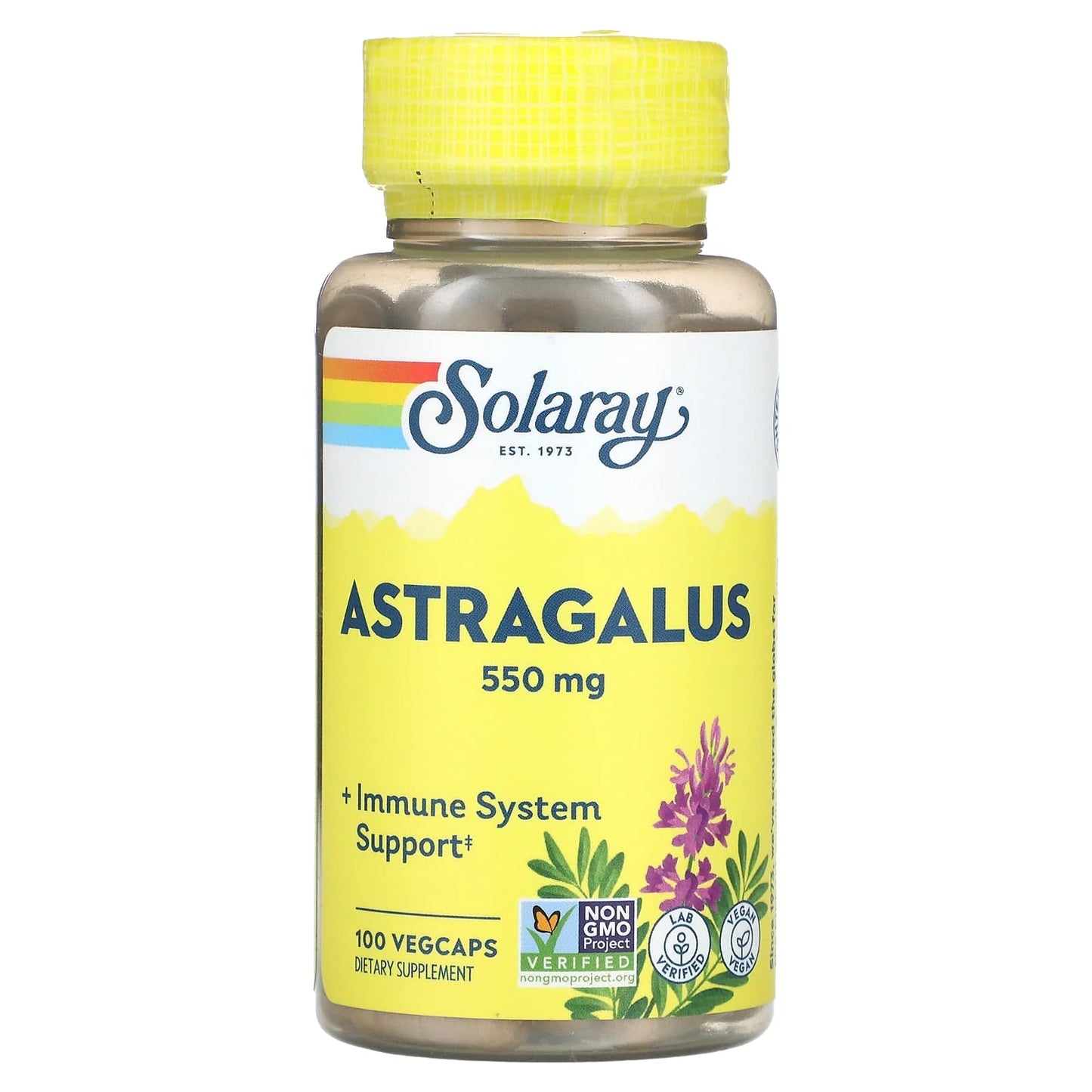 Astragalus