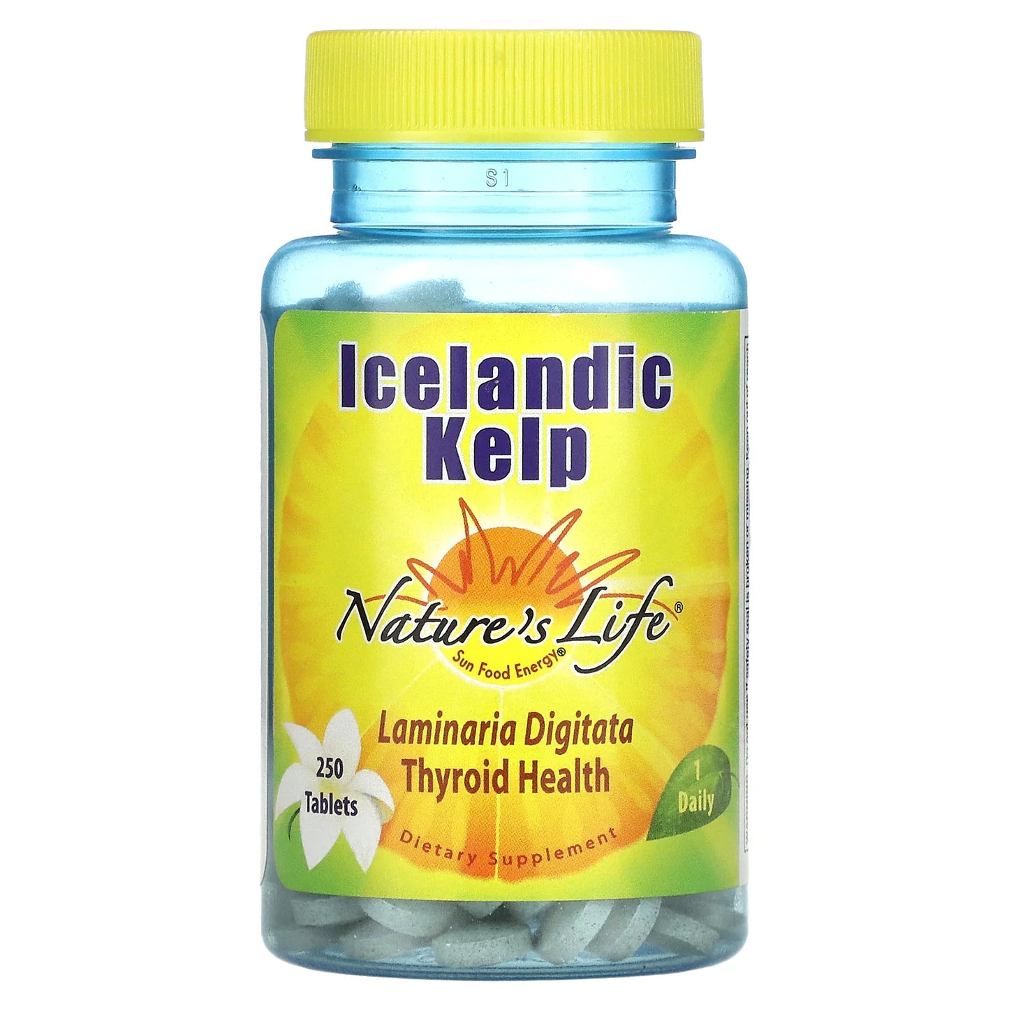 Icelandic Kelp