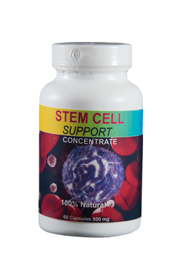 Stemm Cell